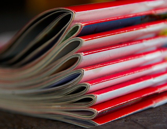Bücherregal