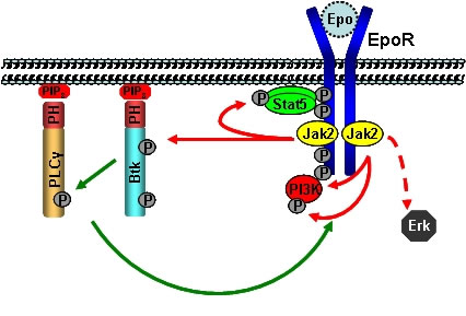 Forschung Abb1