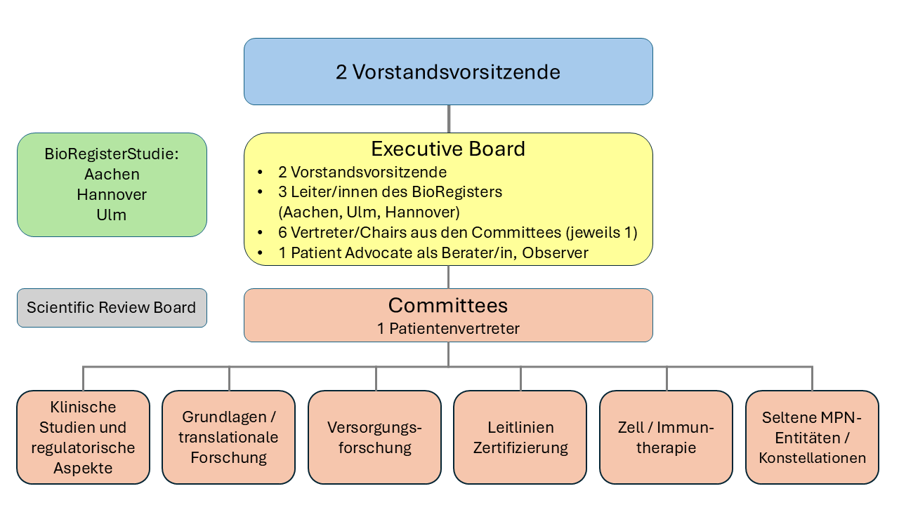 Organisation
